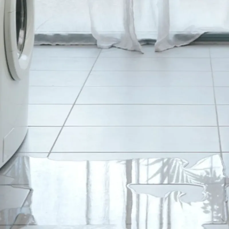 Appliance Leak Cleanup in Peosta, IA