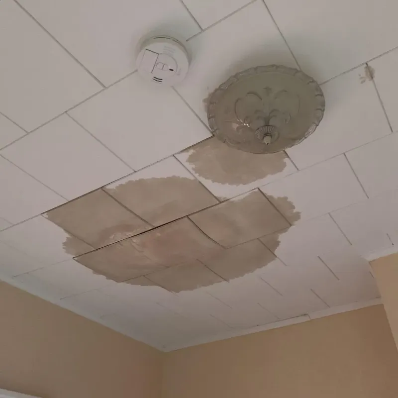 Ceiling Water Damage Repair in Peosta, IA